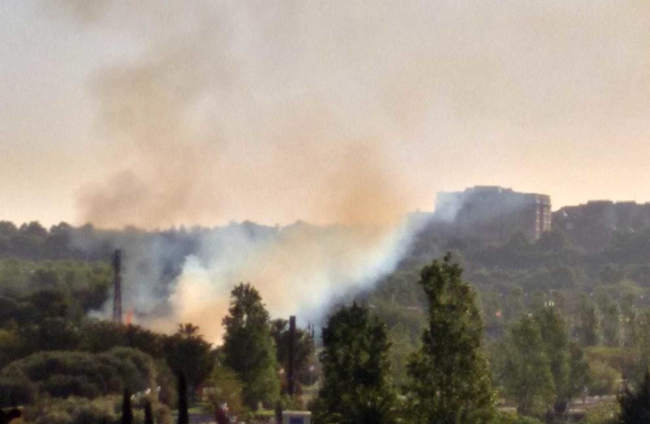 Incendio de vegetación en la zona Emprius de Salou