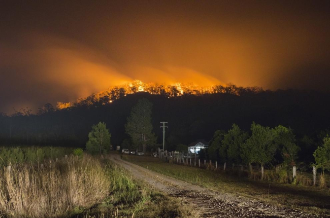 Una Investigaci N Sostiene Que Los Incendios De Australia Muestran Que