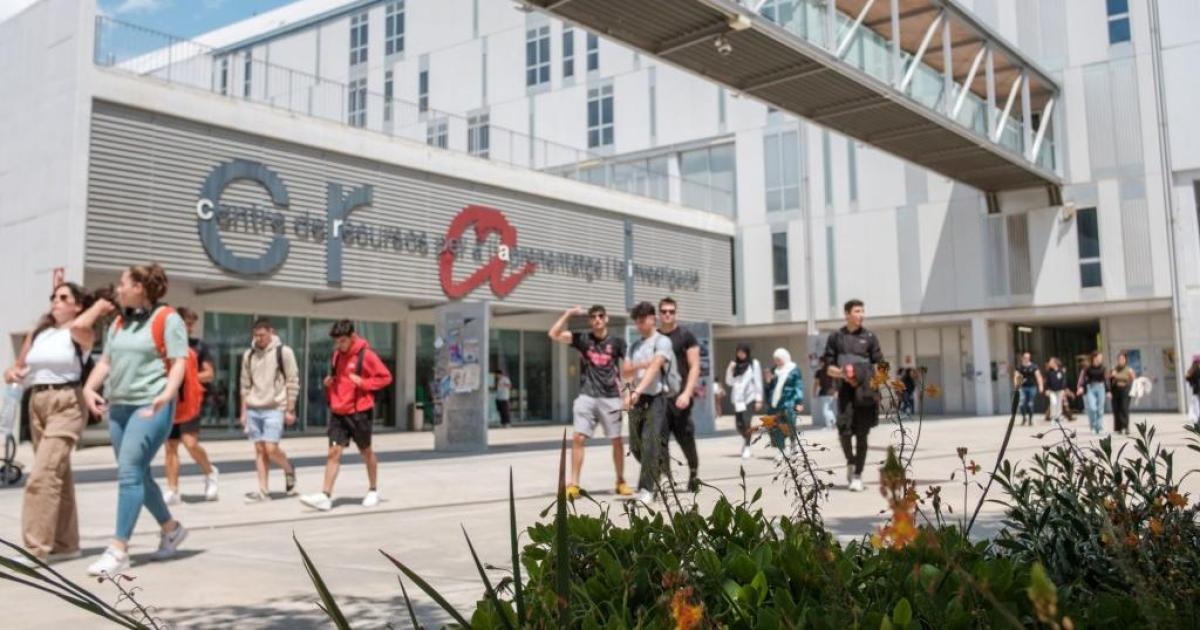 Les notes de tall més altes de la URV són del grau en Medicina i el doble grau en Bioquímica i