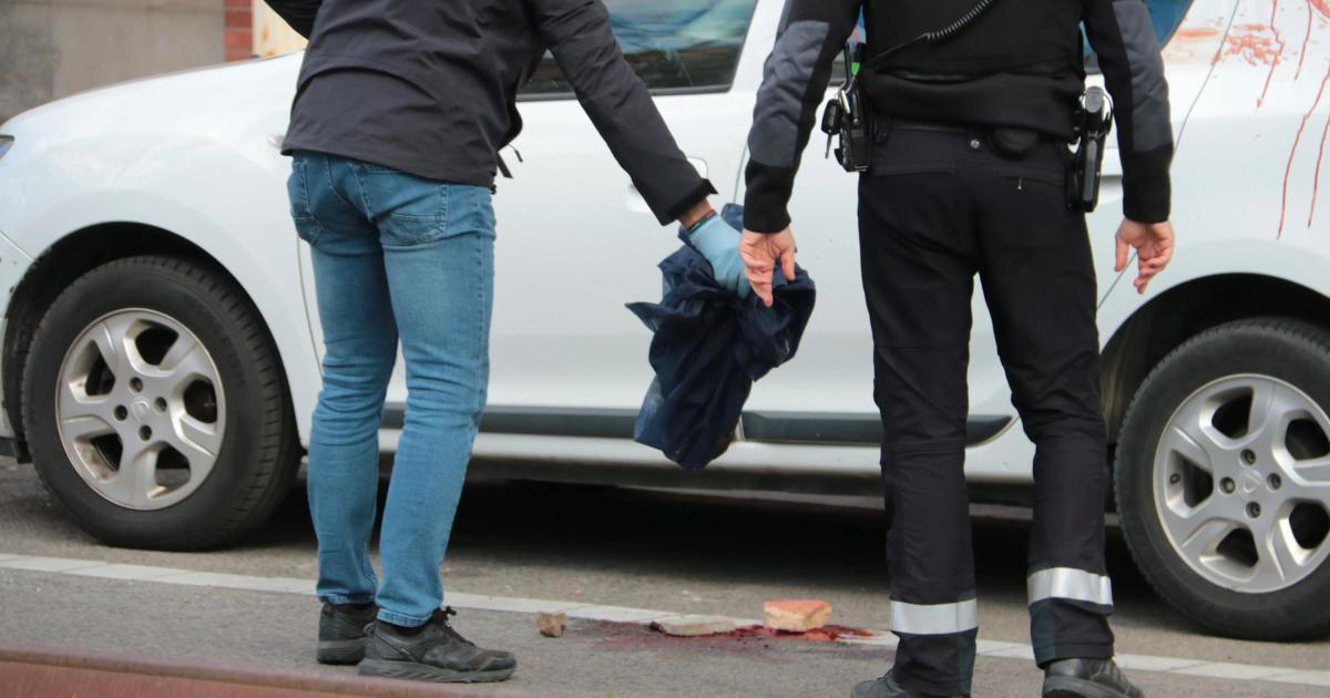 The alleged perpetrator of the murder surrenders to the Mossos d'Esquadra de Tarragona police station