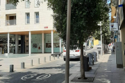 Imatge d'un arbre del carrer del Pallol.