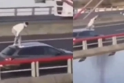 Joven saltando desde el techo de un coche a la ría de Treto (Cantabria).