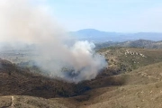 Incendi del Coll de l'Alba.