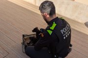 Imatge d'un agent de la Guàrdia Urbana amb els cadells abandonats