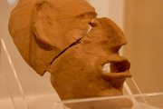 Imatge de la màscara funerària exposada.