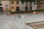 Els veïns de la plaça del Fòrum van alertar l’Ajuntament de Tarragona sobre l’alta presència de paneroles en aquest espai de la Part Alta.