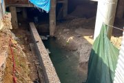 Sota aquesta finca, ubicada entre els carrers Pere Martell i Eïvissa, s'ubica la Font dels Lleons.