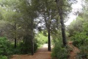Parc de les Pedreres, un dels refugis climàtics de Salou