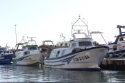 Barques amarrades al Moll de Pescadors de Tarragona.