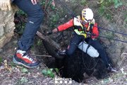 Imatge del gos sent rescatat pels Bombers