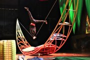 Imatge d'un assaig de l'espectacle 'Ovo' del Cirque du Soleil, abans de l'inici de la gira europea a Tarragona.