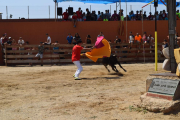 El municipi del Morell s'ha aplegat, aquest dissabte al matí, per donar el tret de sortida a la 29ª edició del tempteig de vaquetes.