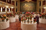 Imatges del 70è Concurs-Exposició de Roses