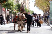 Diferents cavalls i carros han desfilat aquest matí pels carrers de la ciutat