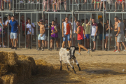 Deu colles van participar aquest cap de setmana en la tradicional tempta de vaquetes de Miami Platja. La plaça del Cinquantenari es va omplir com cada any amb milers d'assistents per contemplar un dels pocs espectacles taurins que encara es poden organitzar a Catalunya.