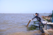 Afectacions del temporal al delta de l'Ebre