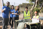 Una revegetació dóna vida a les dunes de la Platja Llarga