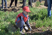 Més de 700 persones participen en la Plantada Popular del riu Francolí