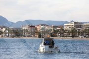 Un centenar de pescadors competeixen per obtenir el nombre més gran de captures