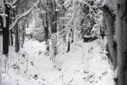 Madrid, Saragossa, Lleida, Burgos o Teruel, alguns dels punts on ha nevat.