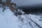 El municipi de Mont-ral, a l'Alt Camp, ha patit també els efectes de la forta nevada que al llarg de cap de setmana ha deixat gruixos considerables a gran part de Tarragona.