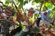 Verema Solidària celebrada el 2018 al celler Vall Llach. Al costat, el celler Altavins.