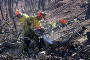 Imatge de dos operaris treballant en la construcció de feixines a la zona de l'incendi de Ribera d'Ebre