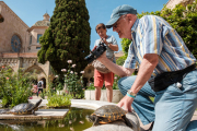 Imatge d'un grup de visitants al claustre de la Catedral ahir, durant el Dia Internacional dels Museus.