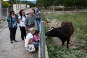 Un grup de persones visitant la Margarita, que és molt afable amb tothom.