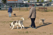 Propietaris de gossos passejant les mascotes.