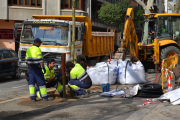 Operaris treballant en les tasques de replantació.