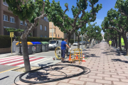 L'operador centra els seus esforços en les zones amb gruix d'habitatges plurifamiliars per tal de poder connectar el màxim nombre possible d'usuaris