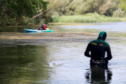 Un submarinista de la Guàrdia Civil, en primer pla, durant les prospeccions d'aquest dimarts al matí a l'Ebre, a Miravet. Imatge del 18 de juliol de 2017