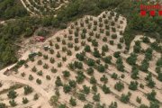 Una imatge aèria dels Bombers al lloc de l'incendi