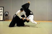 L'Aikido es vol donar a conèixer.