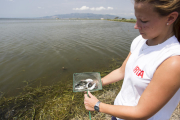 Permetrà donar un ús sostenible i respectuós amb el medi natural a peixos que van ser utilitzats amb finalitats experimentals