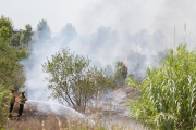 Efectius de Bombers de Catalunya treballen en l'incendi de dimecres passat al carrer Argentina.