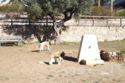 En totes les àrees d'esbarjo s'hi ha fet un tancat i s'hi han col·locat papereres, bancs, així com una font baixa perquè hi puguin beure els gossos.