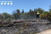 Imatge de l'incendi que ha tingut lloc al costat de la urbanització de Favaret a Amposta.