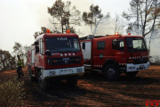 Imatge d'arxiu de dues dotacions dels Bombers treballant en un incendi de vegetació.