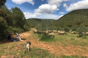 Es vol promocionar el patrimoni ramader i les seves possibilitats d'atractiu turístic del territori.