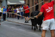 AnimaNaturalis va captar amb imatges els fets.