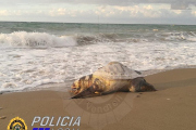 La Policia Local l'ha trobat morta a la platja