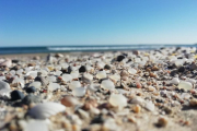 Imatge de les esferes de plàstic aparegudes a la platja de la Pineda, la qual ha estat premiada.