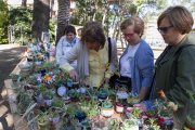 Algunes de les plantes que es van oferir en l'edició anterior.