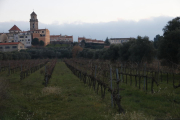 Imatge d'unes vinyes als peus de Falset, al Priorat.