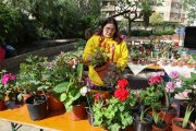 Una de les parades de venda de flors i plantes a Mare Molas.