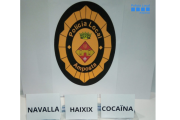 La policia local va decomissar cinc dosis de cocaïna, dos peces d'haixix, pol·len i marihuana.