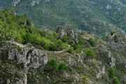 matge del camí vell de Tivenys al Perelló, per on es volia fer passar la pista |