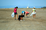 Pla general d'alguns dels voluntaris recollint brossa a l'espai delimitat a la platja del Serrallo de Sant Jaume d'Enveja.